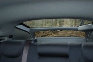 Honda Insight Hybrid Test: hinten, Sicht
